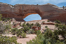 Wilson Arch, UT