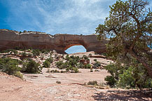 Wilson Arch, UT