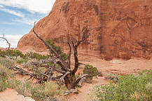 Arches National Park, UT