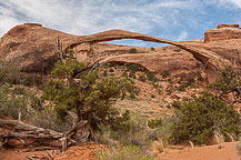 Arches National Park, UT