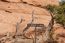 Arches National Park, UT