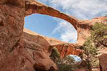 Arches National Park, UT