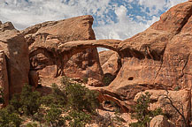 Arches National Park, UT