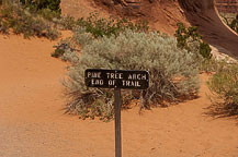 Arches National Park, UT