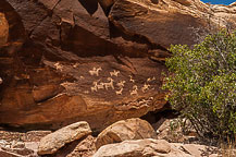 Arches National Park