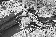 Arches National Park