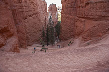 Bryce Canyon National Park, UT