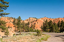 Red Canyon, UT