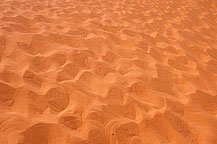 Coral Pink Sands State Park, UT