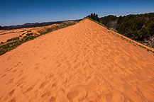 Coral Pink Sands State Park, UT