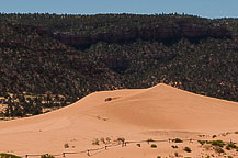 Coral Pink Sands State Park, UT