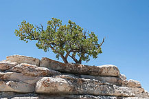 North Rim, Grand Canyon