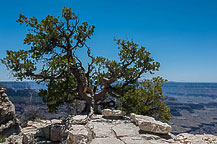 North Rim, Grand Canyon