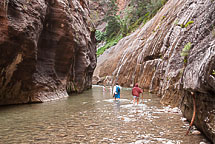 The Narrows, Zion National Park, UT