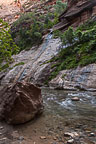 The Narrows, Zion National Park, UT