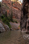 The Narrows, Zion National Park, UT