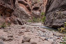 The Narrows, Zion National Park, UT