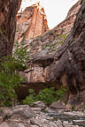 The Narrows, Zion National Park, UT