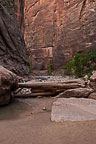 The Narrows, Zion National Park, UT