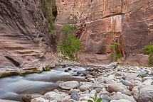 The Narrows, Zion National Park, UT