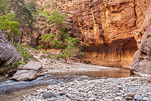 The Narrows, Zion National Park, UT