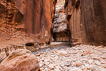 The Narrows, Zion National Park, UT