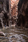 The Narrows, Zion National Park, UT