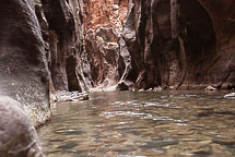 The Narrows, Zion National Park, UT