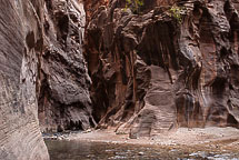 The Narrows, Zion National Park, UT