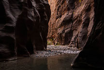 The Narrows, Zion National Park, UT