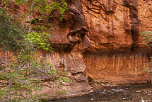 The Narrows, Zion National Park, UT