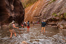 The Narrows, Zion National Park, UT