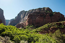 Kolab, Zion National Park, UT