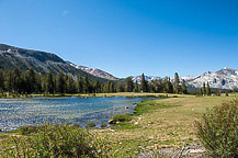 Yosemite National Park, CA