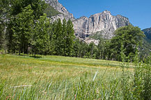 Yosemite National Park, CA