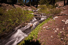 Lassen National Park