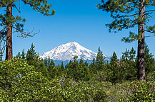 Mt Shasta