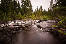 Rogue River