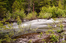 Rogue River