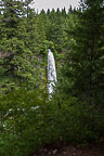 Mill Creek Falls