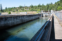 Fish Hatchery