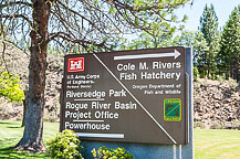 Fish Hatchery