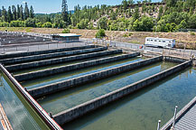 Fish Hatchery