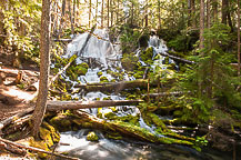 Clearwater Falls