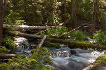 Clearwater Creek