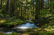 Whitehorse Falls Stream