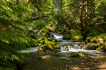 Stream Below Watson Falls