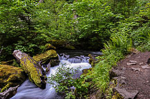 Stream Below Watson Falls