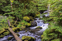 Stream Below Watson Falls