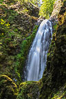 Susan Creek Falls